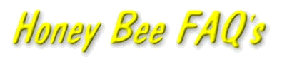 bee faqs